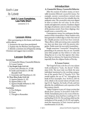 NIV Standard Lesson Commentary, Large Print Edition 2023-2024