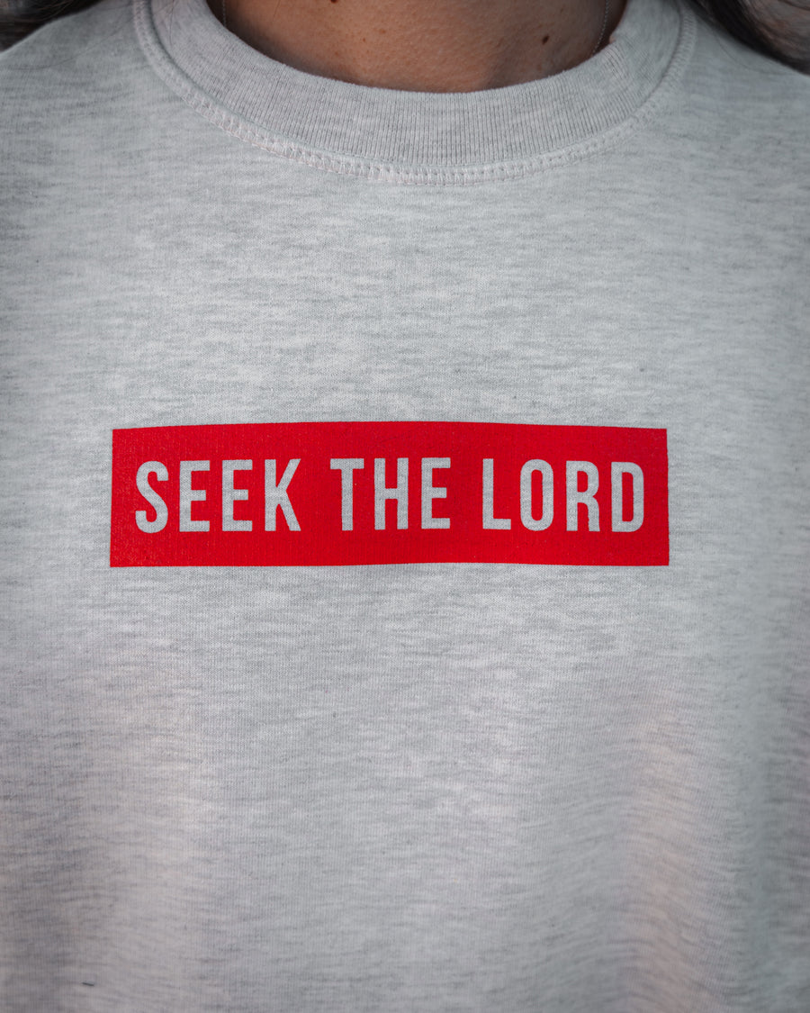 Seek the Lord Hoodie/Crewneck