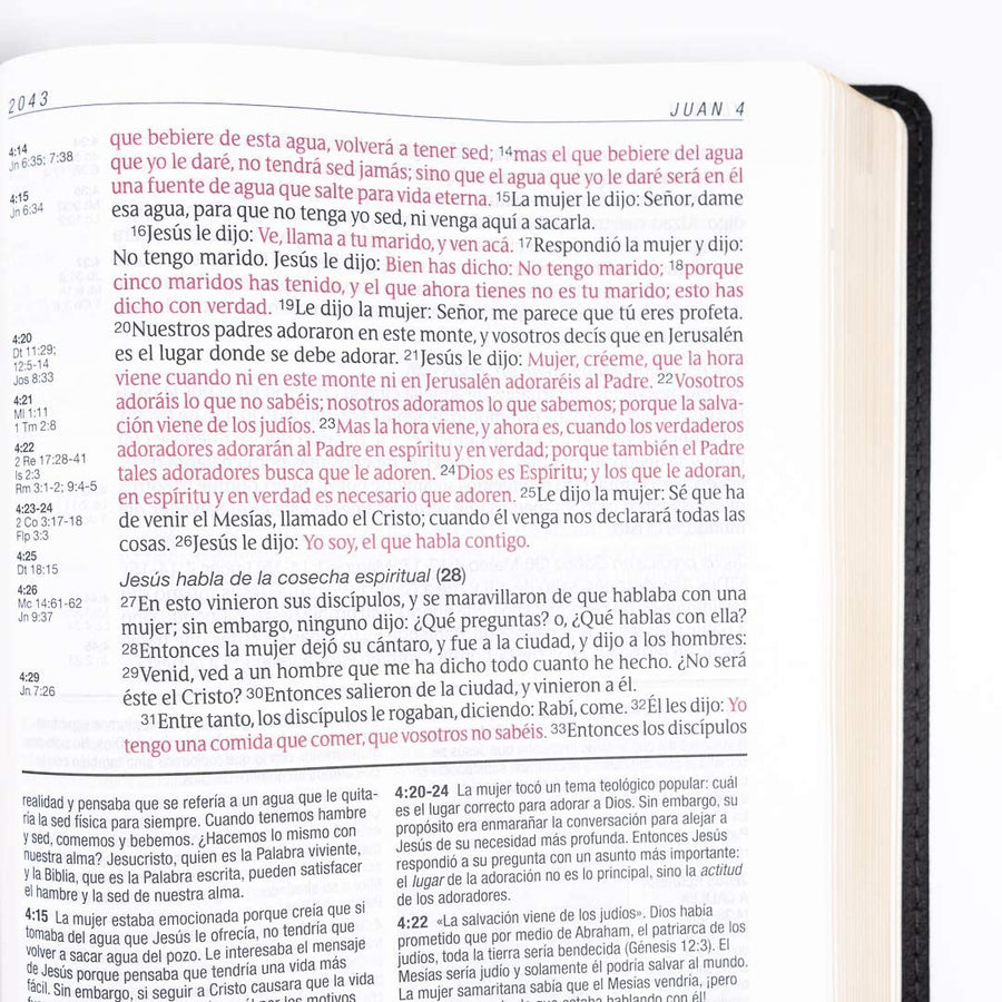 Personalized Biblia De Estudio Del Diario Vivir RVR60 Letra Grande (Spanish)