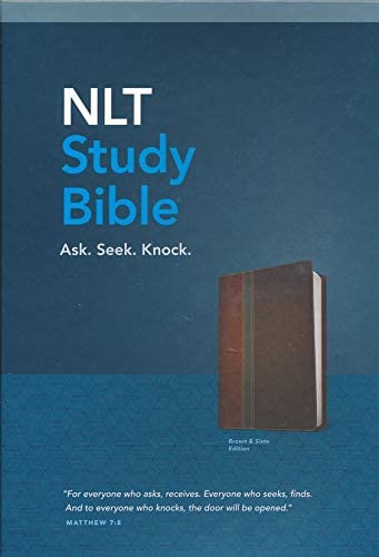 Personalized NLT Study Bible TuTone LeatherLike Slate