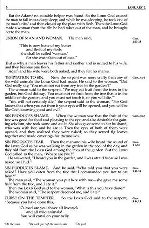 Personalized NIV The Daily Bible Large Print
