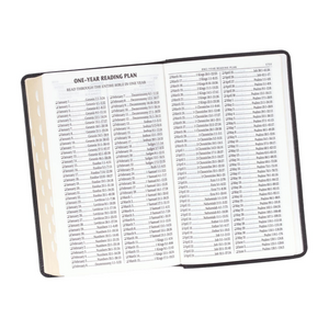 Personalized Custom Text Your Name KJV Giant Print Thumb Index Two-Tone Black Bible King James Version