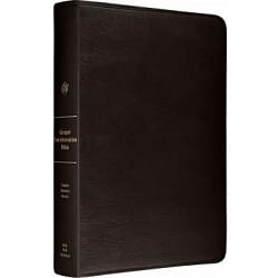 Personalized ESV Gospel Transformation Bible Genuine Leather Black