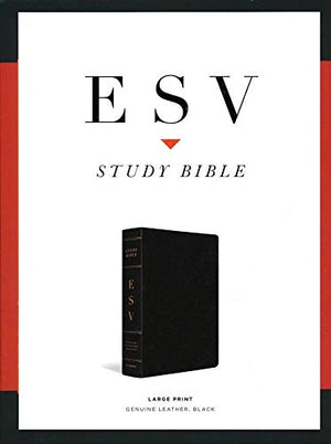 Personalized ESV Study Bible Large Print (Black, Indexed)