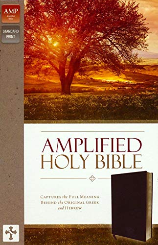 Personalized Amplified Holy Bible Thumb Indexed Bonded Leather Burgundy
