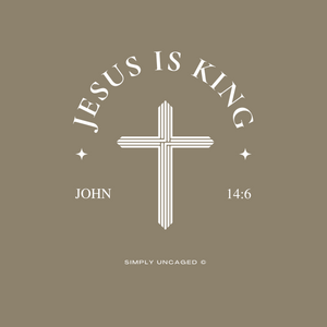 Jesus is King John 14:6 Shirt