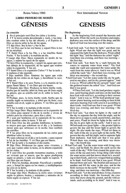 Personalized RVR 1960/NIV Bilingual Bible Index Imitation Leather New International Version