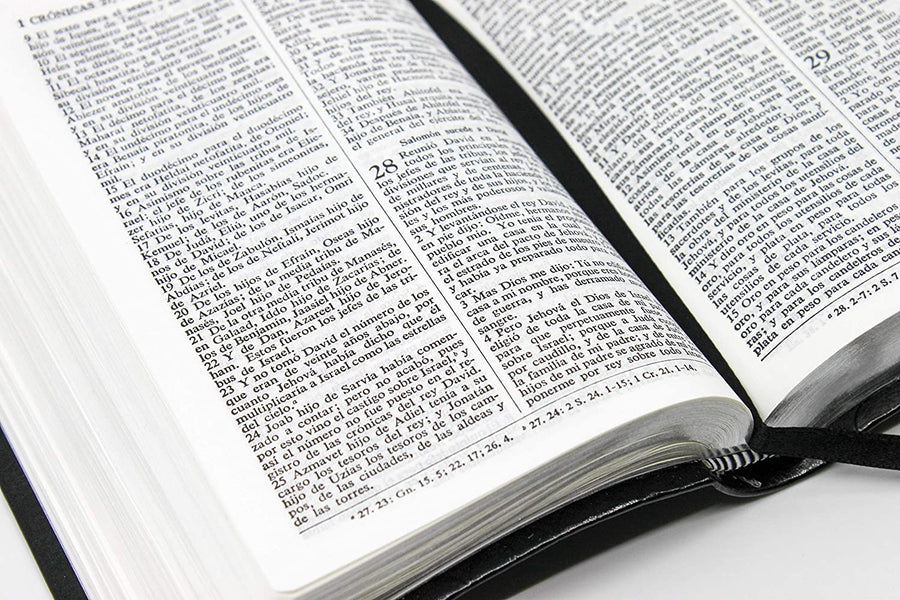 Personalized Santa Biblia Edición Compacta (Spanish Edition)