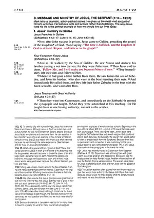Personalized Custom Text NKJV Life Application Study Bible TuTone Brown/Tan New King James Version