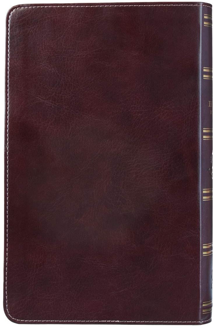 Personalized KJV Holy Bible Giant Print Turquoise and Brown Faux Leather Flexcover