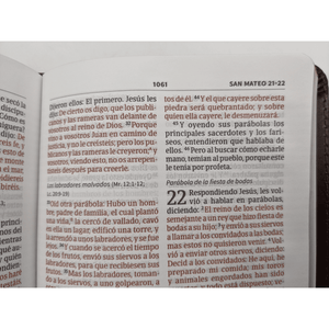 Personalized Custom Text Your Name Biblia Compacta Letra Gde. RVR 1960 Piel Fab. Marron (RVR 1960 LGE. Print Compact Bible Bon. Leather Brown)