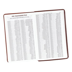 Personalized Custom Text Your Name KJV Giant Print Two-Tone Brown Bible King James Version