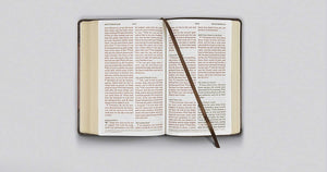 Personalized ESV Large Print Personal Size Bible TruTone Olive Celtic Cross Design