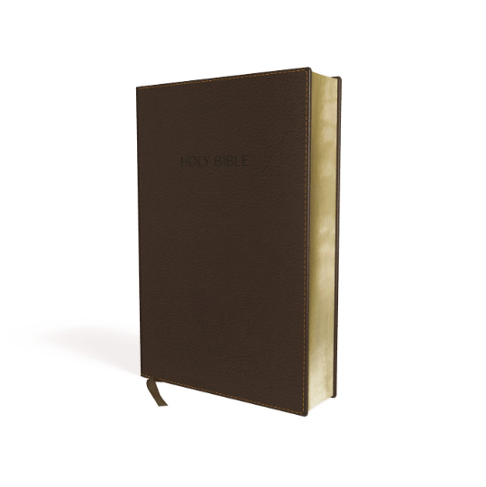 Personalized NIV Foundation Study Bible Leathersoft Brown Red Letter Edition