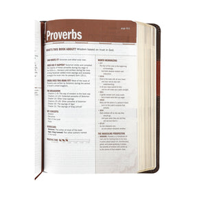 Personalized NIV Every Man's Bible Deluxe Heritage Edition TuTone LeatherLike Brown/Tan