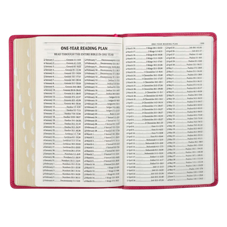 Personalized KJV Pink Faux Leather Deluxe Gift Bible Thumb Indexed King James Version