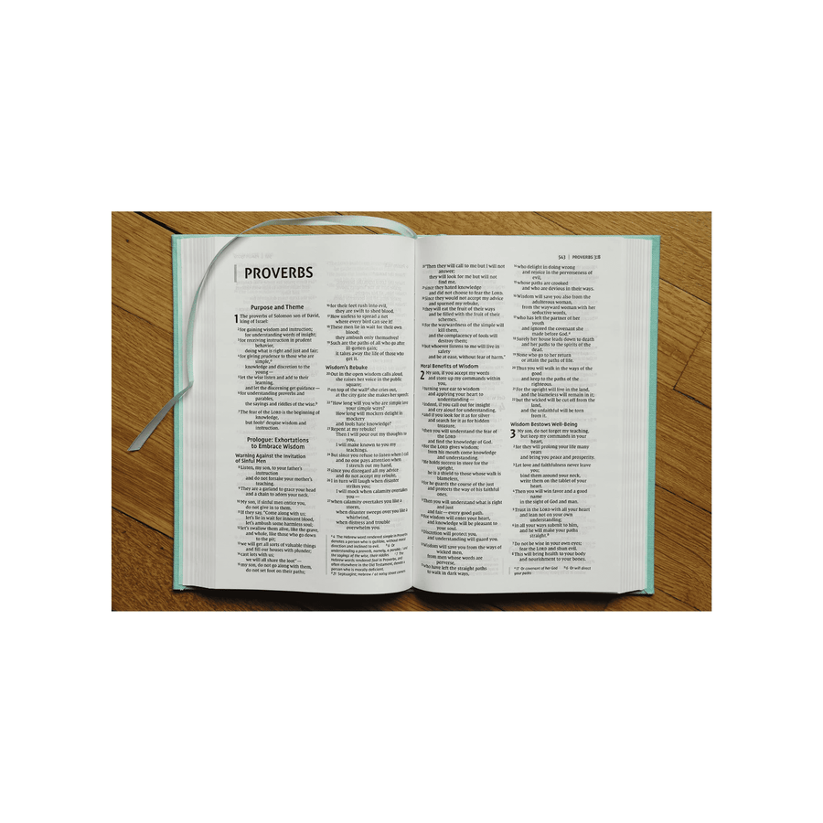 Personalized Custom Text Your Name NIV Thinline Bible for Teens Easy to Read Comfort Print Floral Cloth Over Board Red Letter Edition