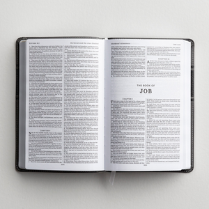 Personalized KJV Deluxe Gift Holy Bible Gray Leathersoft King James Version