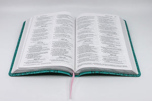 Personalized Bible NVI Santa Biblia Edición Regalo Turquesa (NVI Holy Bible Gift Edition Turquoise)