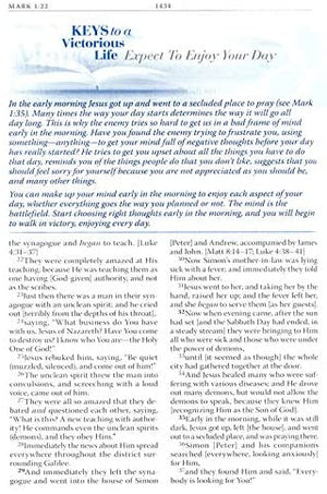 Personalized Battlefield of The Mind Bible: Renew Your Mind Through The Power of God's Word Blue