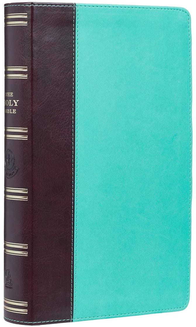 Personalized KJV Holy Bible Giant Print Turquoise and Brown Faux Leather Flexcover
