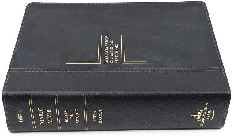 Personalized Biblia De Estudio Del Diario Vivir RVR60 Letra Grande (Spanish)