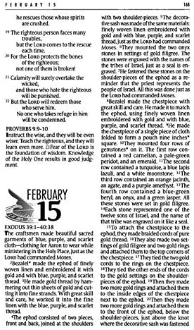Personalized NLT The One Year Bible Slimline Edition TuTone LeatherLike Heather Gray/Pink