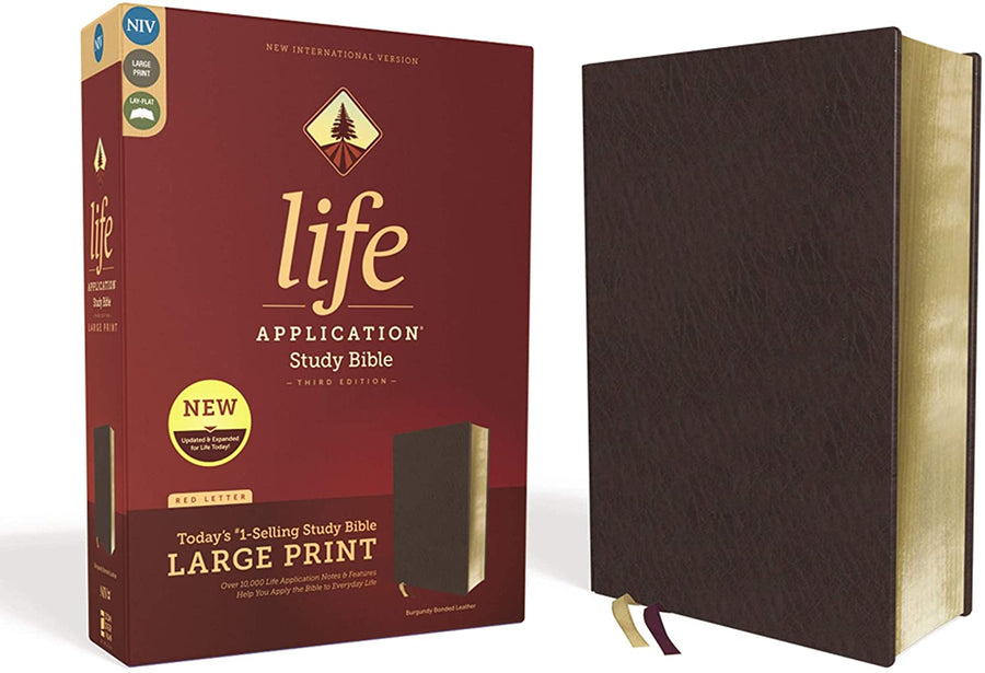 Personalized NIV Life Application Study Bible Third Edition Large Print