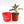 Load image into Gallery viewer, Red Aglaonema Plant in &quot;Lord, I Believe&quot; Nursery Pot

