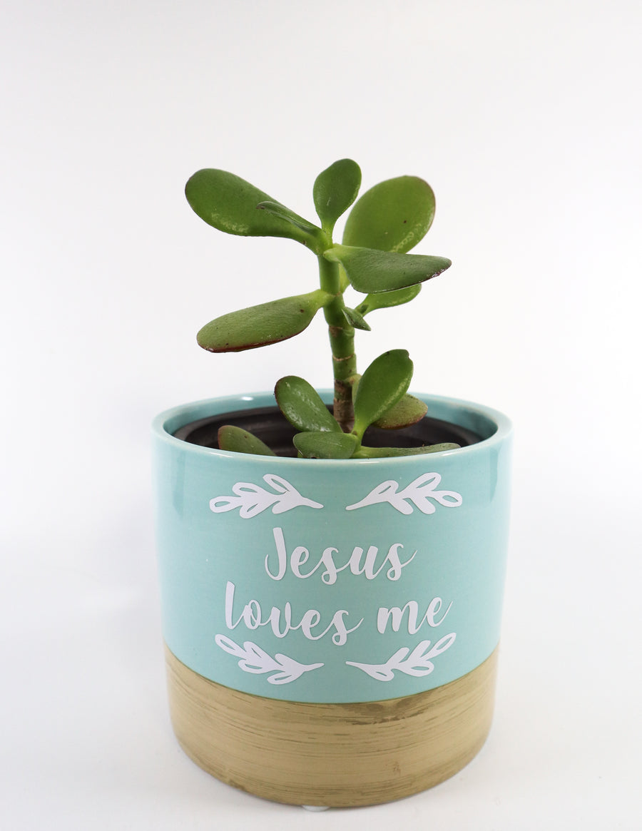 Jade Succulent Plant in "Jesus Loves Me" Planter