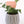 Load image into Gallery viewer, Persian Ivy Live Plant in a Gray Ceramic Flower Pot
