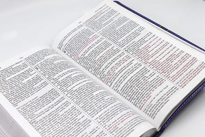 Personalized KJV Thinline Leathersoft Purple Comfort Print Holy Bible