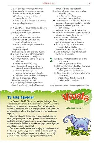 Personalized Biblia Aventura NVI Marrón Spanish Edition
