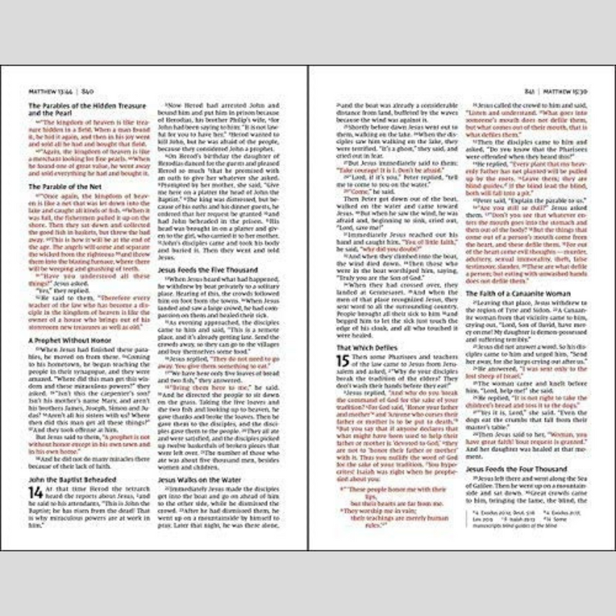 Personalized Custom Text Your Name NIV Thinline Bible 9-Point Print Black Red Letter Edition New International Version