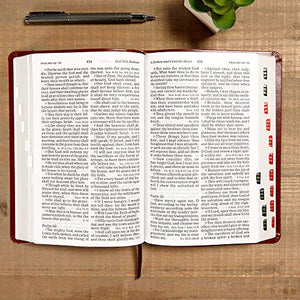 Personalized KJV Large Print Personal Size Reference Bible Brown Leathertouch Indexed