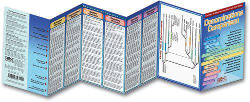 Denominations Comparison Pamphlet