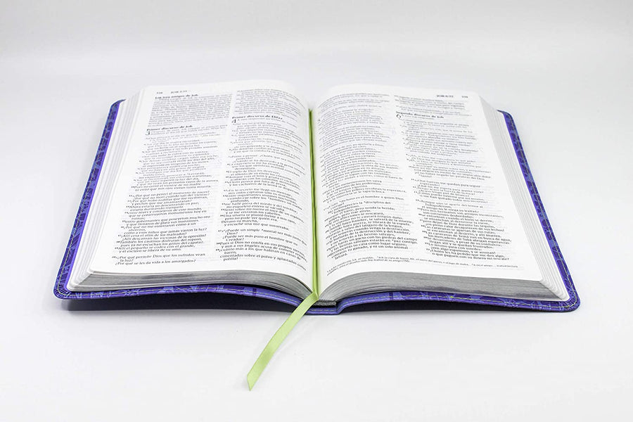 Personalized Bible NVI Santa Biblia Edición Regalo Lavanda (Spanish Edition)