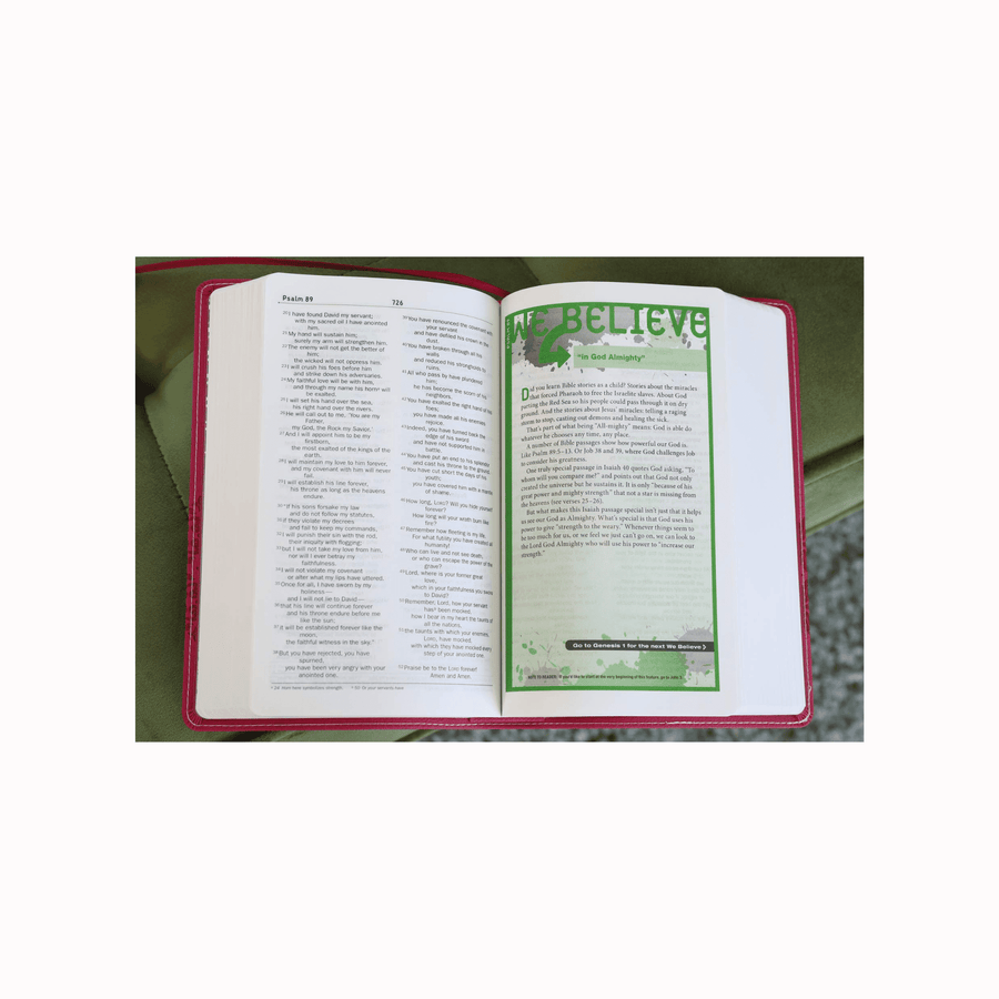 Personalized Custom Text Your Name NIV Compact Teen Study Bible Small Print Pink Leathersoft