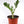 Load image into Gallery viewer, ZZ Plant in a Gray Ceramic Nursery Pot
