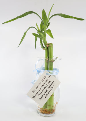 Bamboos in Scripture Verses Vase
