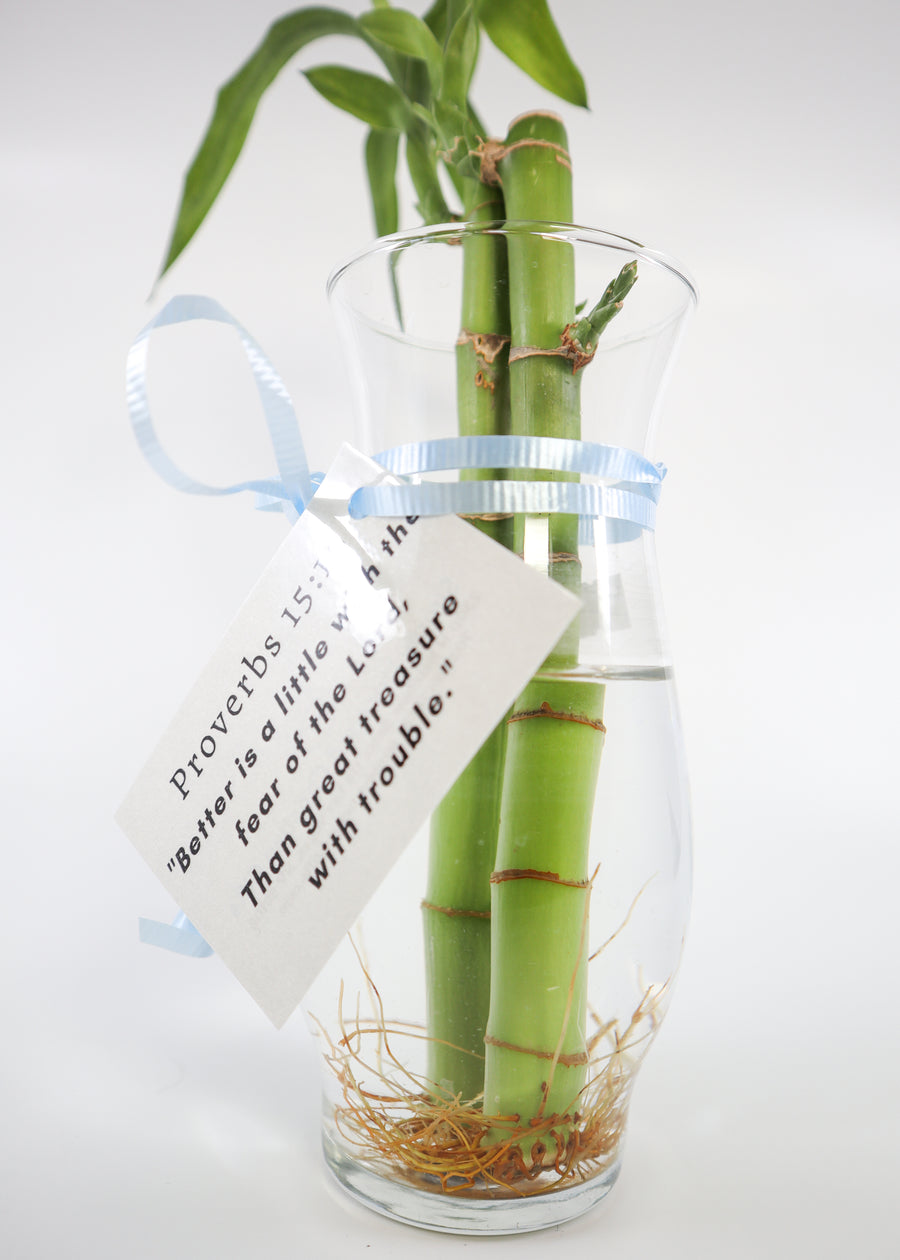 Bamboos in Scripture Verses Vase
