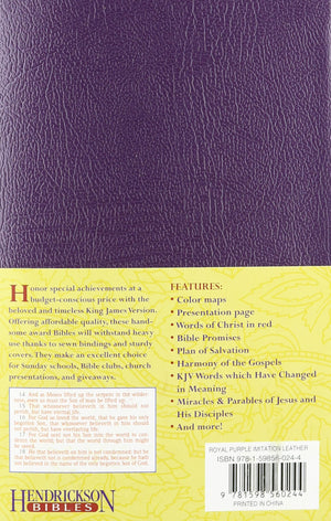 Personalized KJV Gift and Award Bible Imitation Leather