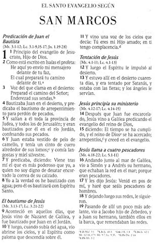 Personalized Biblia de Promesas Compacta Negra C. Zipper (Spanish Edition)