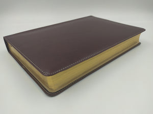 Personalized RVR 1960 Biblia de Estudio Arco Iris Chocolate símil piel Brown Leathertouch (Spanish Edition)