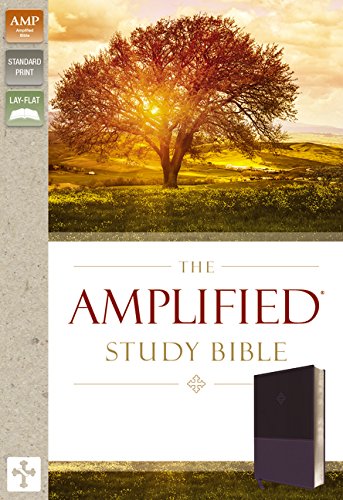 Personalized The Amplified Study Bible Leathersoft Purple Amplified Bible