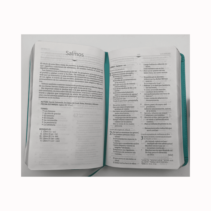 Personalized Custom Text Your Name Biblia Compacta Letra Gde. RVR 1960 Piel Imit. Aqua (RVR 1960 LGE.Print Compact Bible Leathertouch Teal)