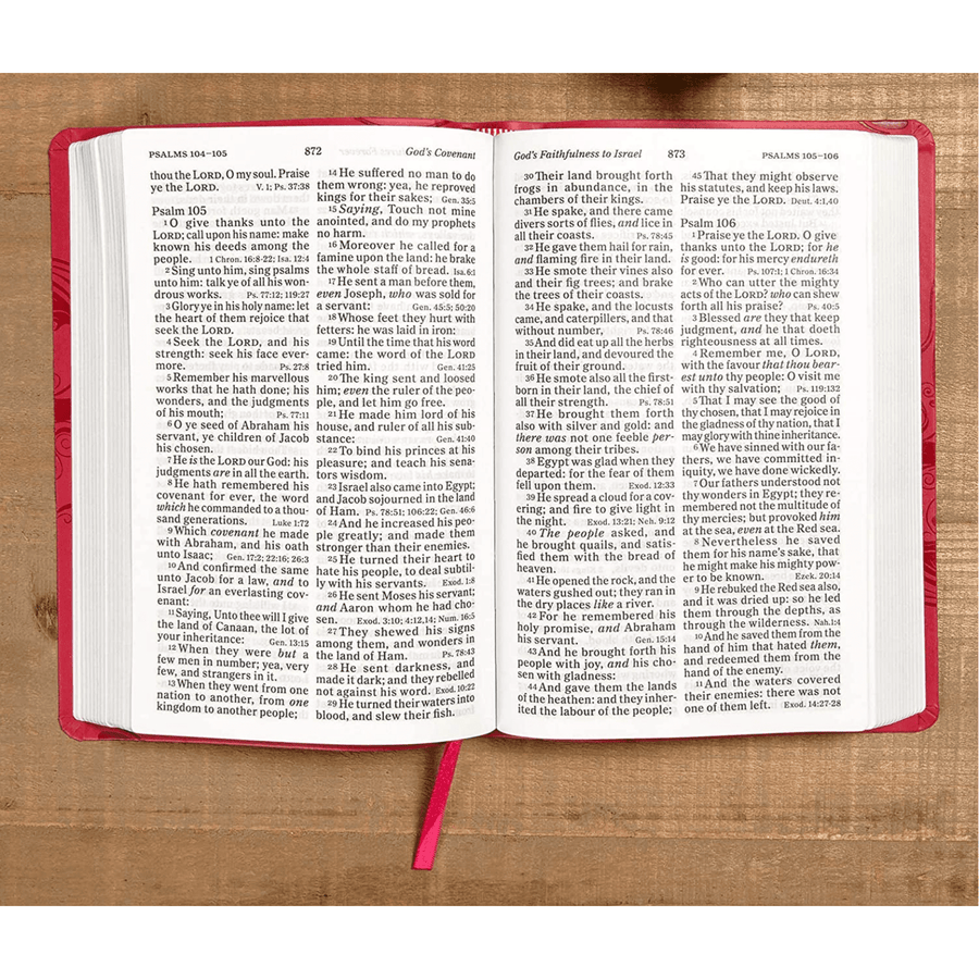 Personalized KJV Large Print Personal Size Reference Bible Pink Leathertouch Red Letter