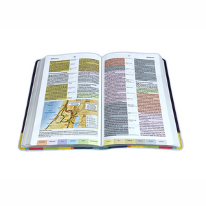 Personalized RVR 1960 Biblia de Estudio Arcoiris Rainbow Study Bible LeatherTouch (Spanish Edition)