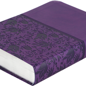Personalized KJV Large Print Personal Size Reference Bible Purple Leathertouch Red Letter